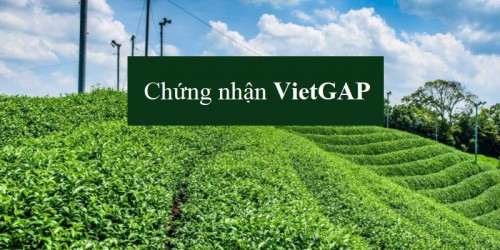 Kế hoạch công tác tháng 03 năm 2021