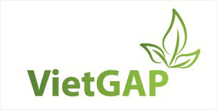  Danh sách khách hàng được cấp, đình chỉ, hủy bỏ CN VietGAP trồng trọt